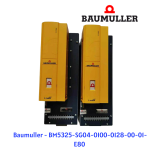 BM5325-SG04-0100-0128-00-01-E80 Baumuller Vietnam