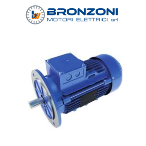 IE3Q1053A1100.0001 Three-phase asynchronous electric motor Bronzoni Motori Vietnam