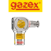 DEX-P2E/N Carbon monoxide measuring detector GAZEX Vietnam