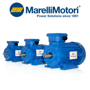 100LB-4 Motor Marelli Motori Vietnam