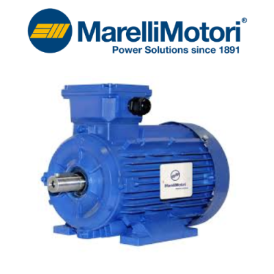 A1C/A2C 100 LA-LB B5 Motor Marelli Motori Vietnam