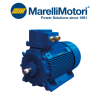 B5S 355 LD6 Motor MARELLI MOTORI Vietnam