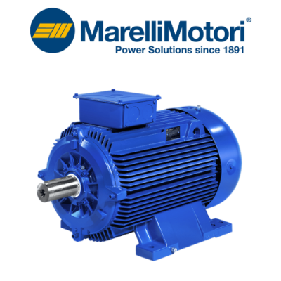 B6Q 225 S-4 Motor Marelli Motori Vietnam