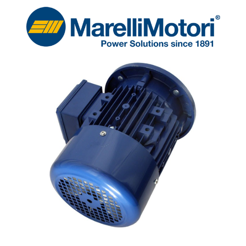 M6Q 100LA4 B5 Motor MARELLI MOTORI Vietnam