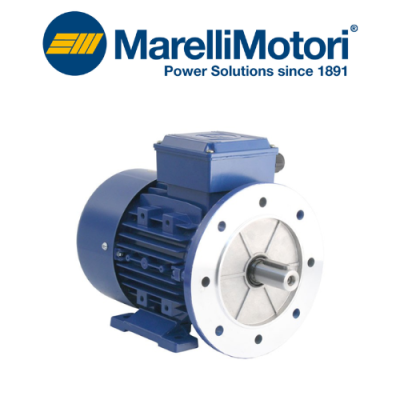 MAA1062B00017 Motor Marelli Motori Vietnam