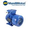 NV 180 L6 B3 Motor MARELLI MOTORI Vietnam
