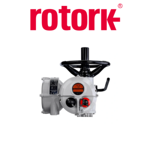 IQ12 F10 B4 Actuator Rotork Vietnam