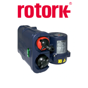 ROMpak4 F10 400/3/50 Actuator Rotork Vietnam