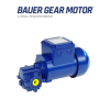 BSO2-37V/D05LA4 Worm Geared Motor Bauer gears Motor Vietnam