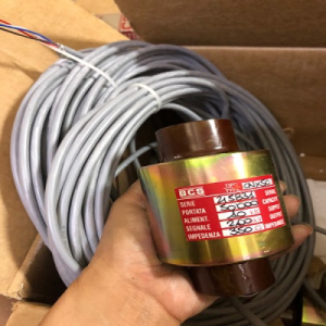 CNX-100 Cân điện từ BCS Italy Vietnam
