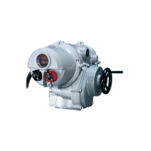 IQT1000 F12 Bộ truyền động Rotork Vietnam